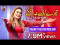 Aliya khan  tere lare na mukke  wajid ali bag.adi i new latest song  zafar production official