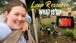 Loop Resource Program!