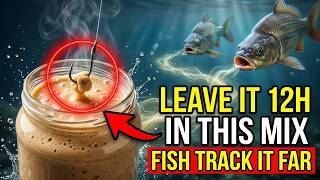 Leave Bait in This Homemade Mix for 12 Hours — The $0.80 Compound Fish Track from 20 Meters