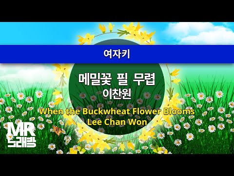 MR노래방ㆍ여자키] 메밀꽃 필 무렵 - 이찬원 ㆍWhen the Buckwheat Flower Blooms-  Lee Chan Won ㆍMR Karaoke