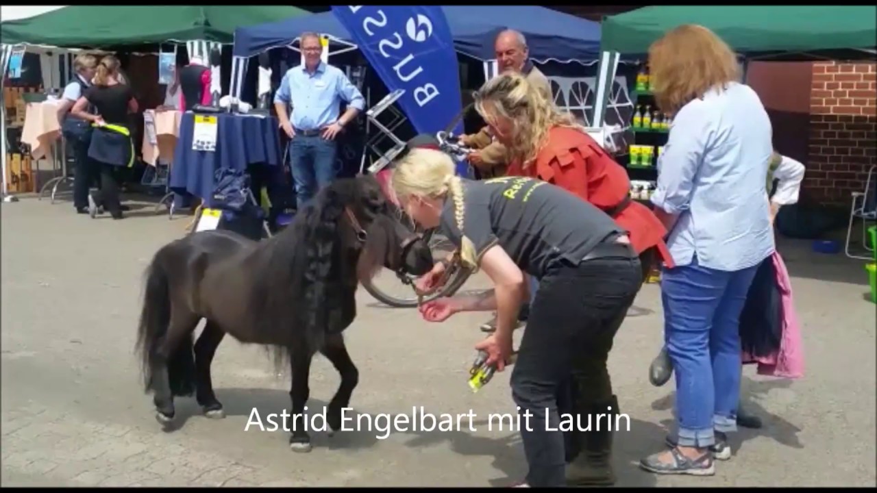 Sommerfest 2017 - Messe und Flohmarkt rund ums Pferd bei Mellis Reiter Shop in Groß Mackenstedt