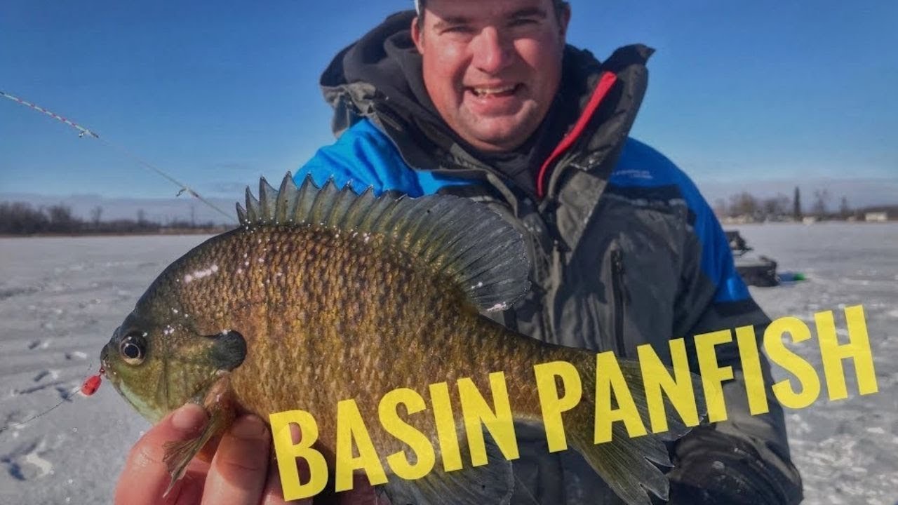 Ice Fishing Suspended PANFISH on Early Ice YouTube