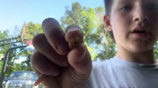 How to make a Texas rig