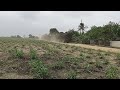 Viaje de Fleteros al Ingenio