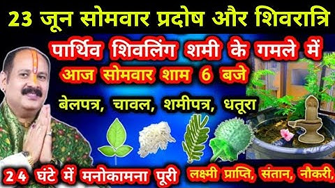 23 जून सोमवार प्रदोष और शिवरात्रि के 7 विशेष उपाय🚩Pradeep Mishra #sompradosh #masikshivratri