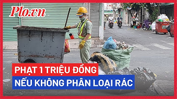 Từ 25-8, bị phạt 1 triệu đồng nếu không phân loại rác sinh hoạt - PLO