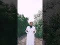 زمین میلی