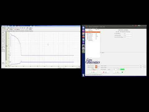 Adding IK1 to the Cardiac AP - video from Cytocybernetics