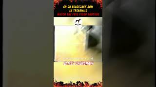 Treadmill Training With Gr Ch Black Jack Rom - Crenshaws Yard