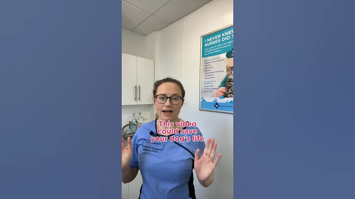 What to do if your dog has heat stroke. #veterinarian #vetadvice #doghealth #dogadvice #dogwellness