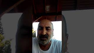Uzan kavak uzan