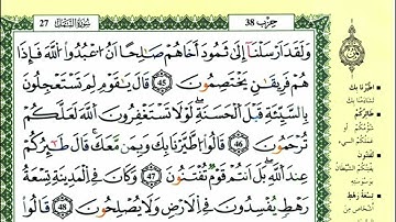 سورة النمل  للقارئ ياسين الجزائري برواية ورش