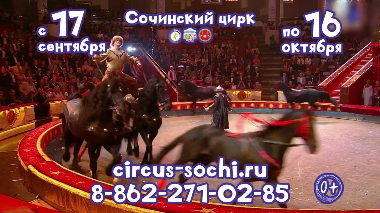 Сочинский Цирк Купить Билеты Онлайн