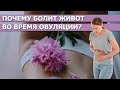 Болит живот при овуляции. Опасно или норма