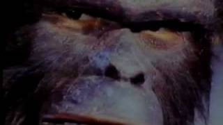 Time Of The Apes - Part 2