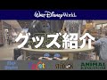 【WDW】スター・ウォーズ／ザ・ライズ・オブ・スカイウォーカーの新作グッズ紹介！