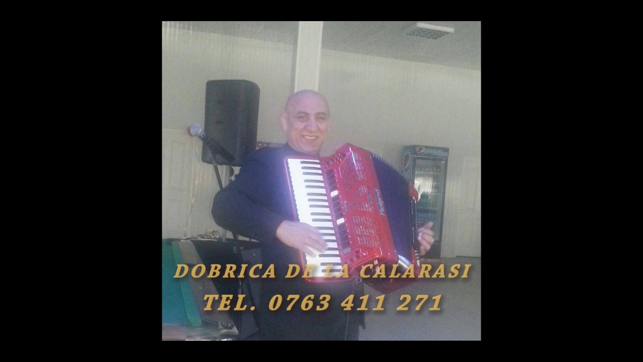 Dobrica de la Calarasi - Colaj de asultare 2