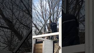 Fastest Cabin build ever #tinyhouse #cabin