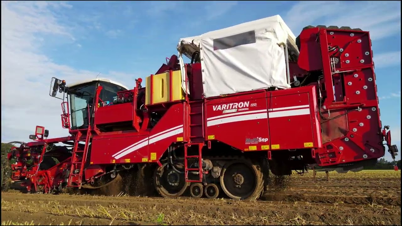 Heygate Farms Swaffham 2024 Potato Harvest