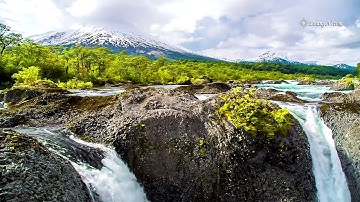 سورة التكاثر يحيى عيشان