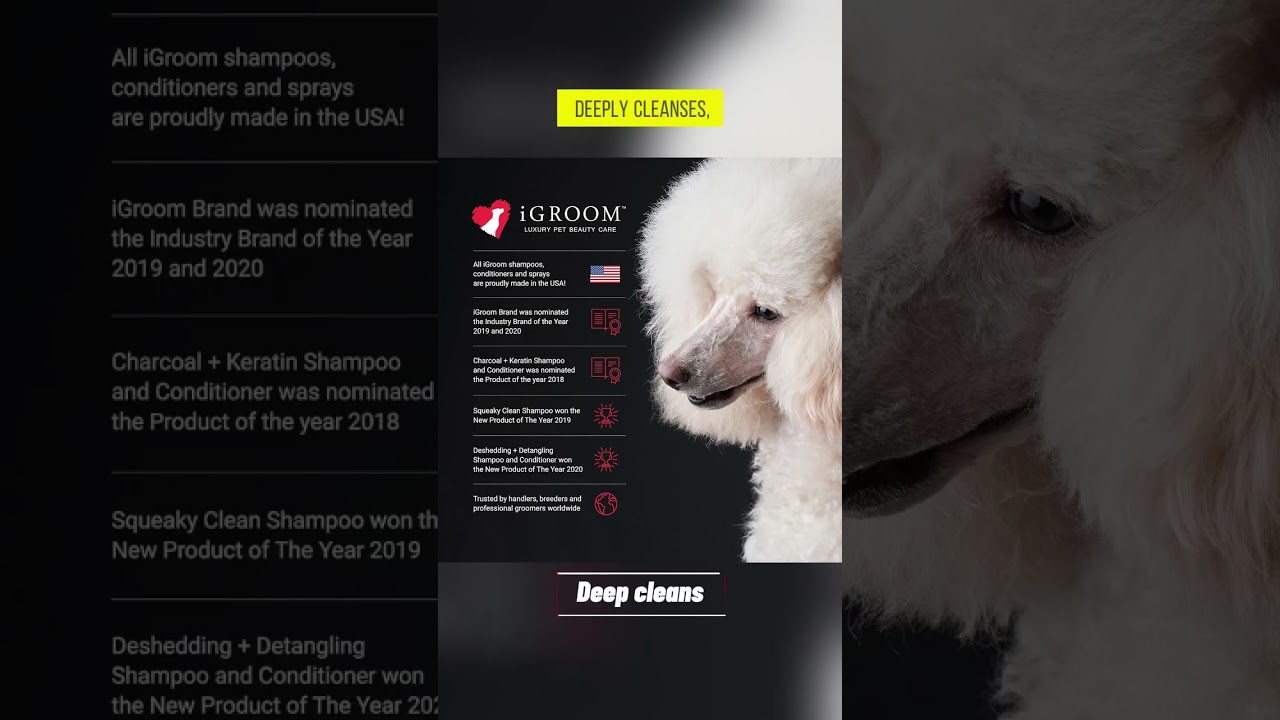 iGroom All-in-One Dog Shampoo 