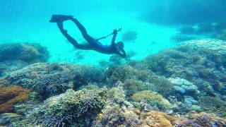 Underwater Derawan Island - 1080P