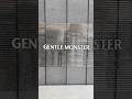 Case 002: Gentle Monster | Brand Detective