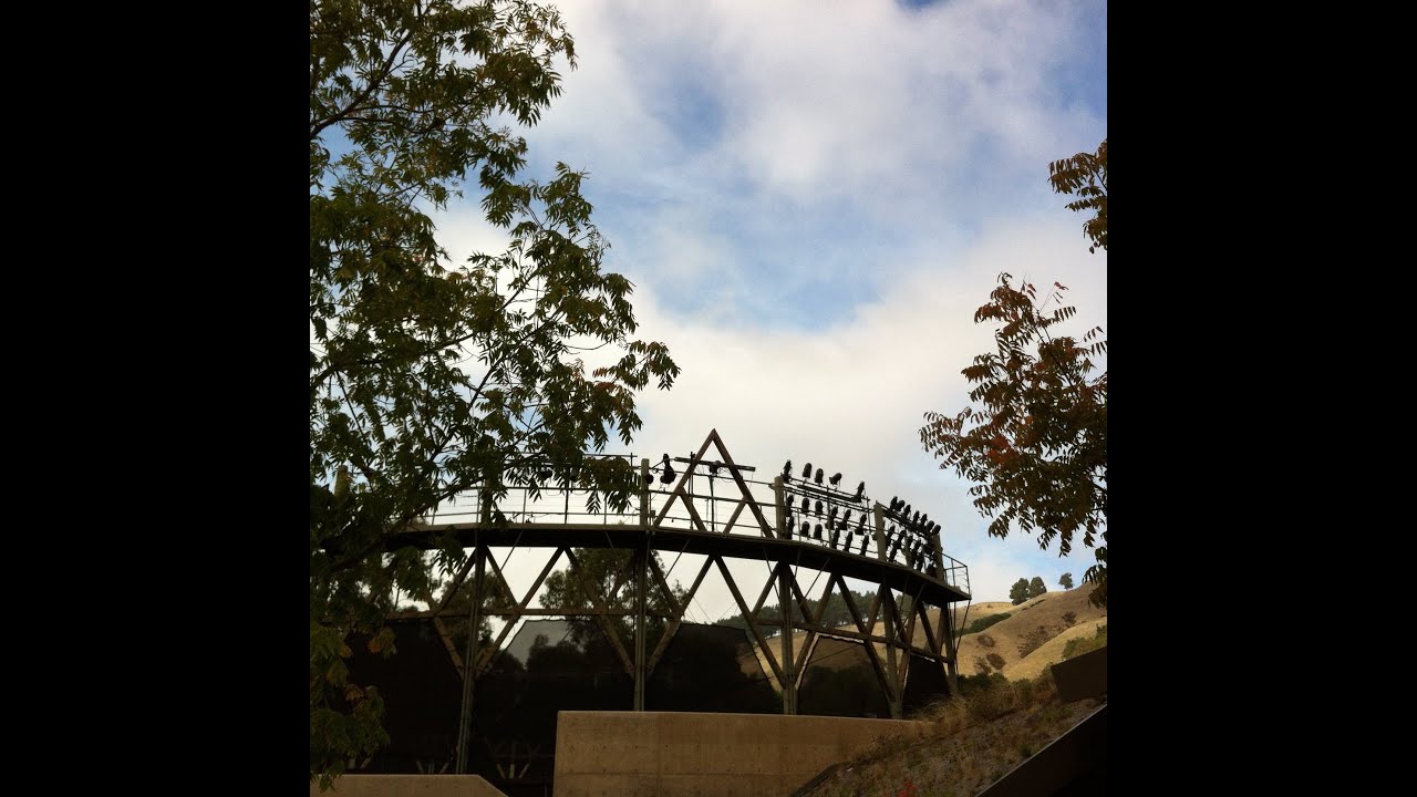 Celebrating 25 Years at the Bruns