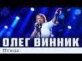 Олег Винник — Птица [Live]