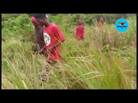 Fulani herdsmen abandon cattle as armed residents chase them from Boti