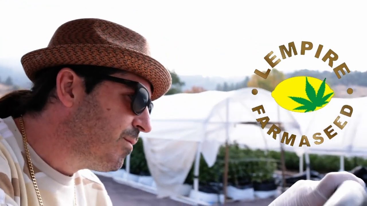 Lempire Farmaseed EP 1  "Ask the Rabbi about your Grow"