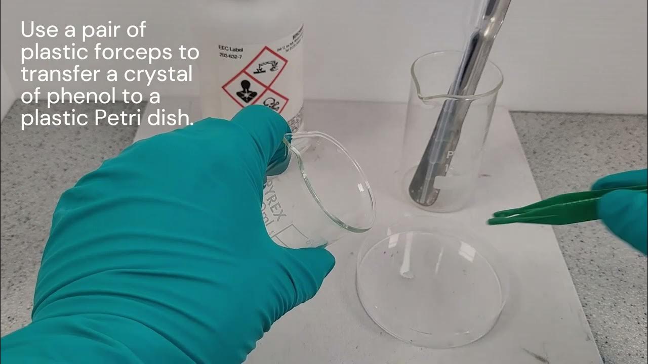 Testing for organic functional groups phenol YouTube