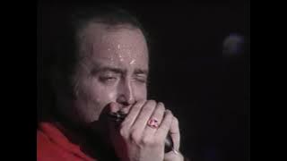 The Fabulous Thunderbirds - She's Tuff - 9/9/1987 - Capitol Theatre