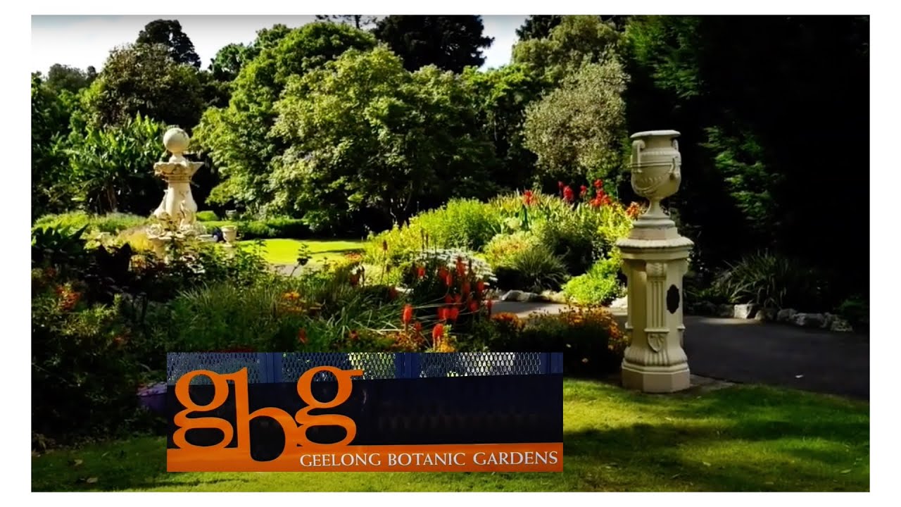 Geelong Botanical Gardens YouTube