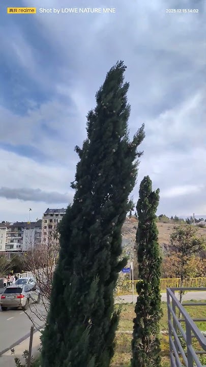 there-is-a-very-strong-wind-today-youtube
