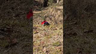#car #rcoffoad #offroad #rccrawler #shortsviral # viral #ytshortsindia #offroad #shortsviral