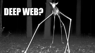 Is the DEEP WEB Actually Scary?