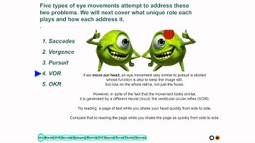 Lecture 11 Eye Movement