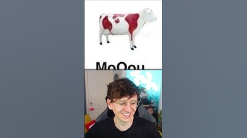 Thumbnail of Do Cows MOO in a Different Accent? #shorts