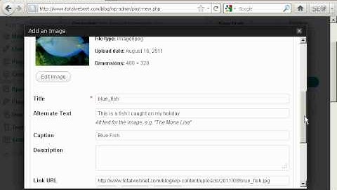 Video 7 - How to Insert and Format Images.avi