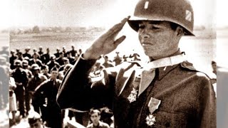 Audie Murphy – The Soldier Who Single-Handedly Stopped an Entire German Company