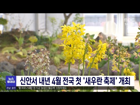 신안서 내년 4월 <strong>전국</strong> 첫 &amp;#39;새우란 축제&amp;#39;  <strong>개최</strong>[목포MBC 뉴스투데이]