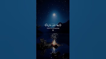 فِي جَنَّةٍ عَالِيَةٍ - عبد الرحمن مسعد ❤️ تلاوة تأخذك إلى عالم آخر 🎧🫀