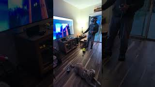 3D Printed Telepresence Robot Controlled by VR Headset.