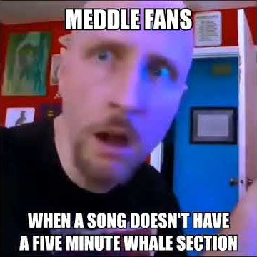 pink floyd fans