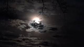 Full Moon Dec. 4th