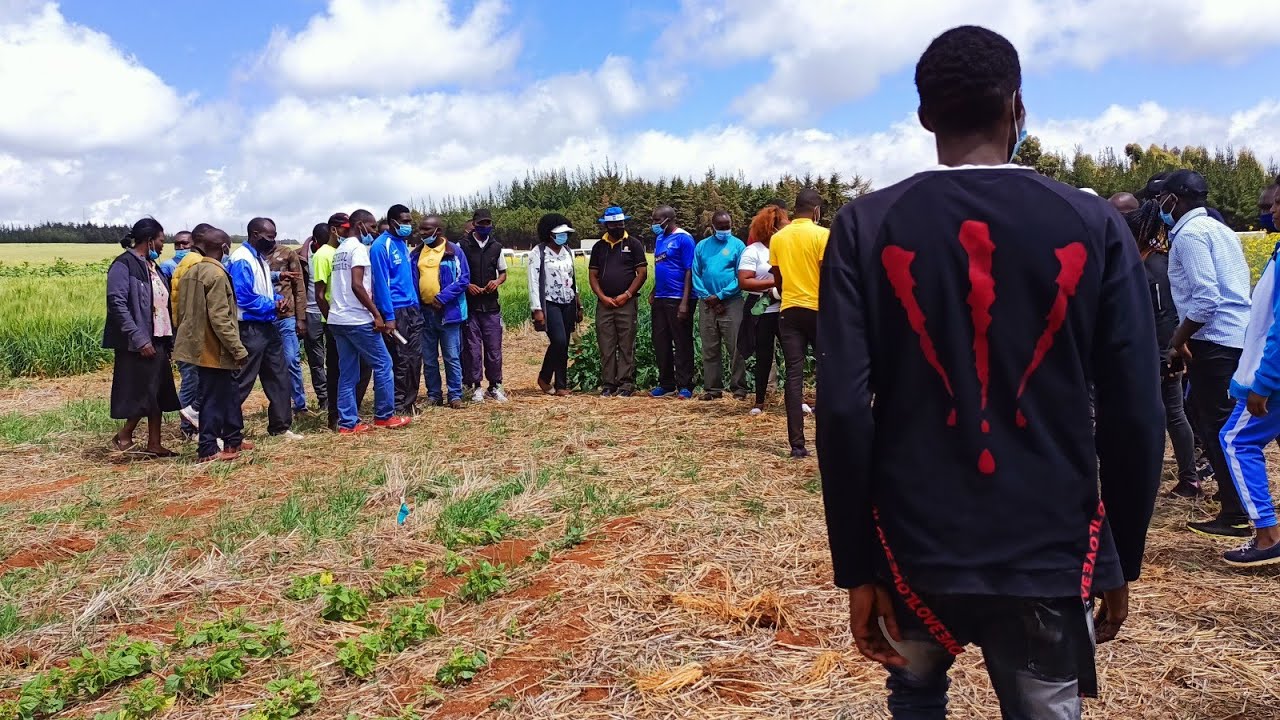 AGVENTURE TIMAU TEAM DAY