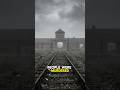 Auschwitz. 1 Million Lives. 3 Years. #shorts #history