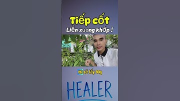 Gãy xương mau lành với cây BÌM BỊP - XƯƠNG KHỈ #shorts #baithuocdangian #thaoduoc