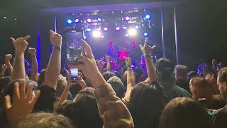 Gogol Bordello - I Would Never Wanna Be Young Again Live @ The Observatory 5.20.2024 (Pit Cam)